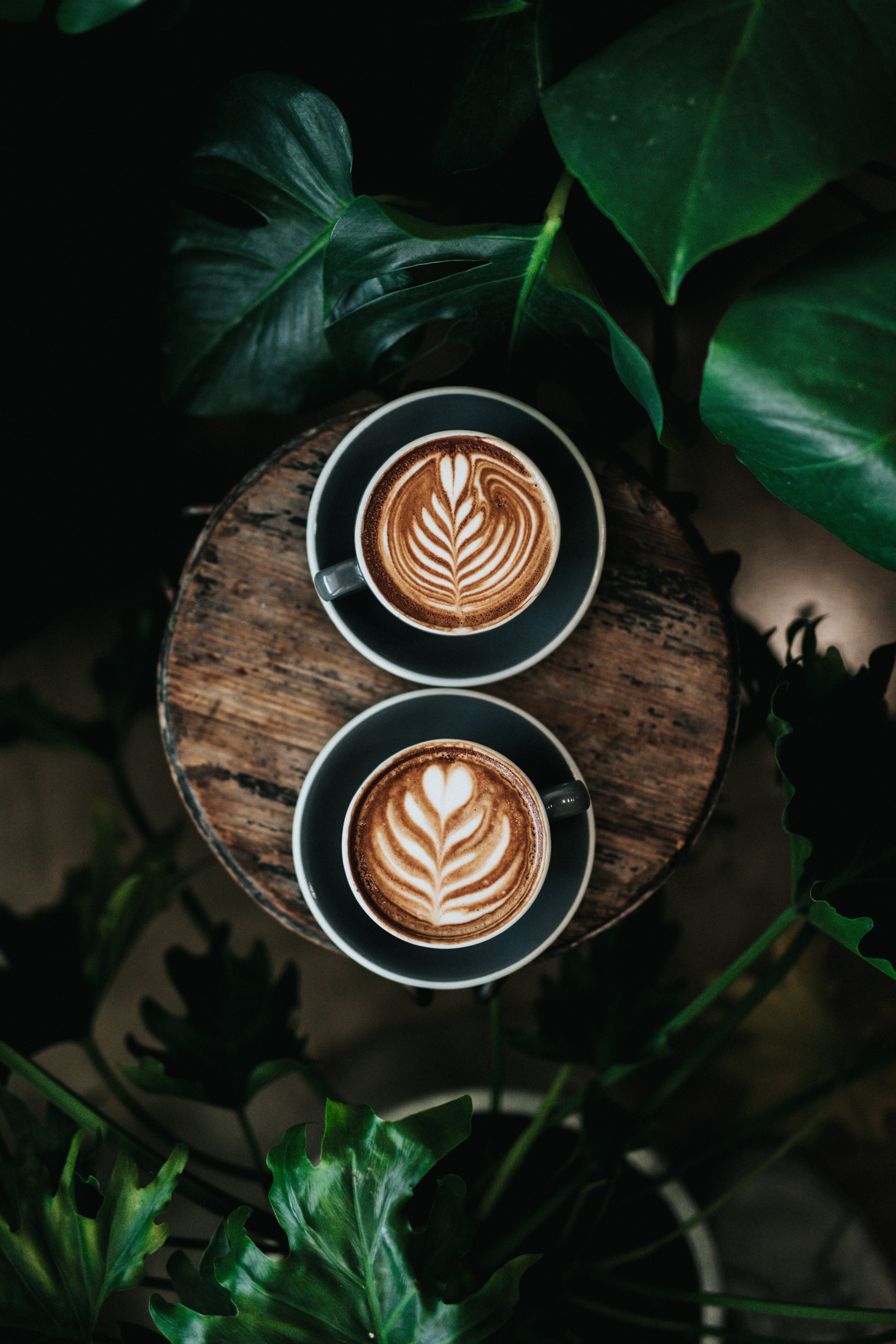 Chrissy Coffecup